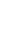 干 支